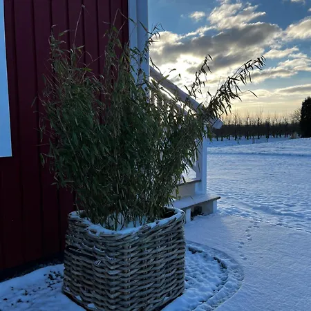 Muggelhuus Im Alten Land / Pflaumenbaum * Hollern-Twielenfleth
