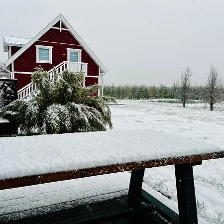 Muggelhuus Im Alten Land / Pflaumenbaum