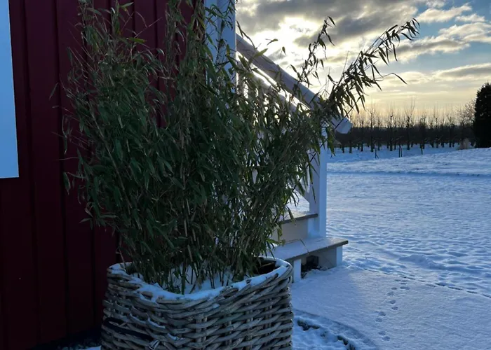 Muggelhuus Im Alten Land / Pflaumenbaum * Hollern-Twielenfleth